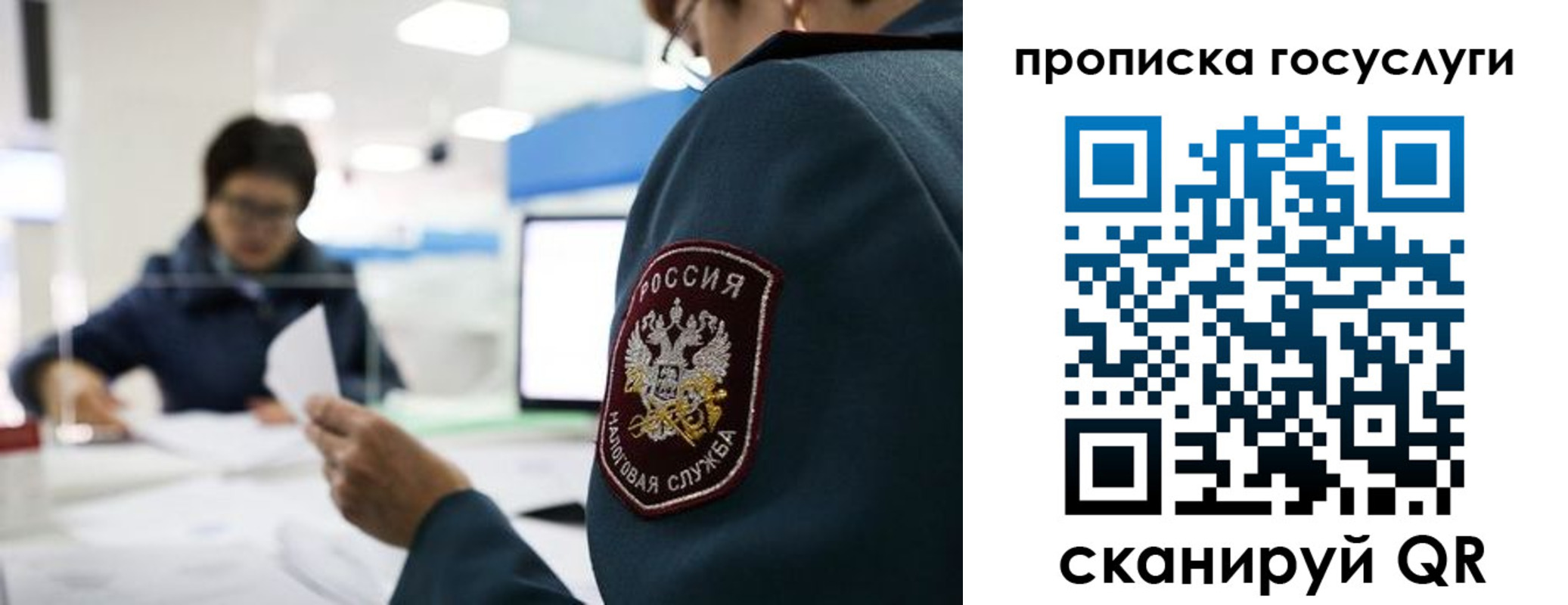 регистрация для школы в Чегеме